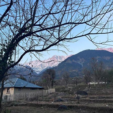 Pala Dharamshala - Mountain Cottage Eksteriør billede